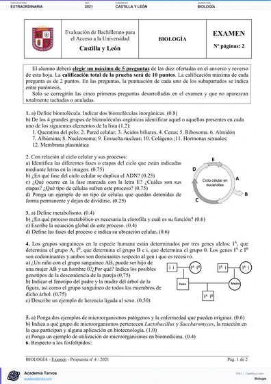 Vista previa de Examen PAU de Biología de Castilla y León 2021 – Extraordinaria
