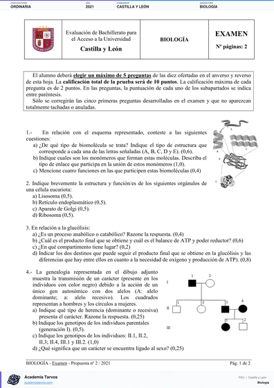 Vista previa de Examen PAU de Biología de Castilla y León 2021 – Ordinaria