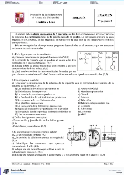 Vista previa de Examen PAU de Biología de Castilla y León 2022 – Extraordinaria