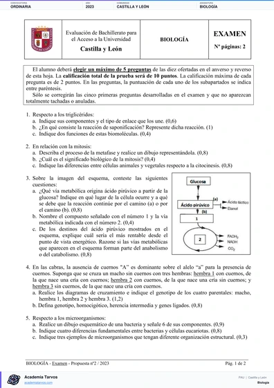 Vista previa de Examen PAU de Biología de Castilla y León 2023 – Ordinaria