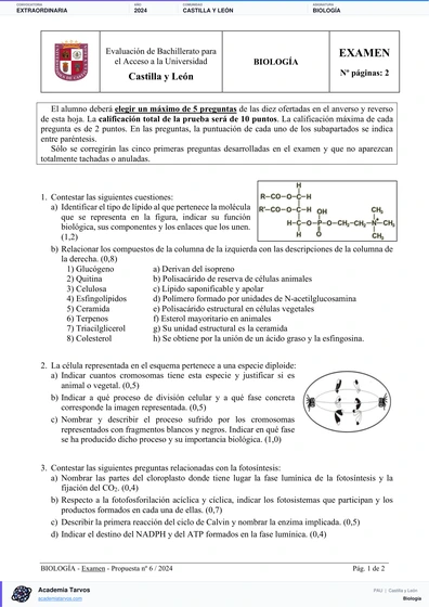 Vista previa de Examen PAU de Biología de Castilla y León 2024 – Extraordinaria