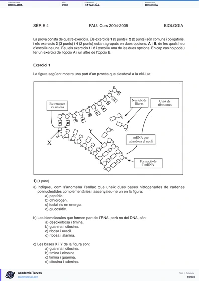 Vista previa de Examen PAU de Biología de Cataluña 2005 – Ordinaria