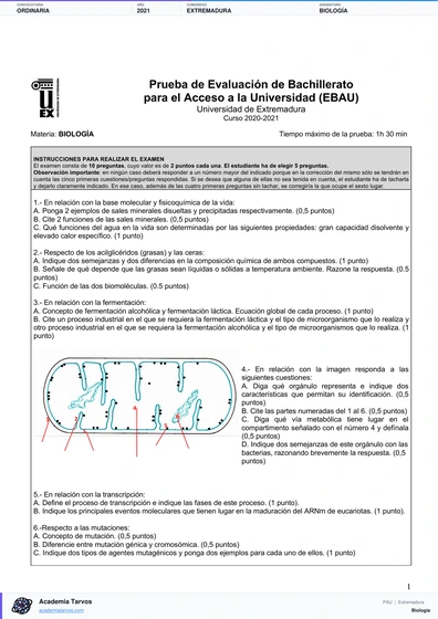 Vista previa de Examen PAU de Biología de Extremadura 2021 – Ordinaria