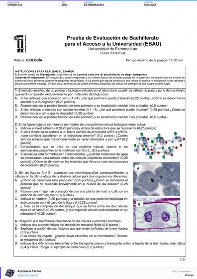 Vista previa de Examen PAU de Biología de Extremadura 2024 – Ordinaria