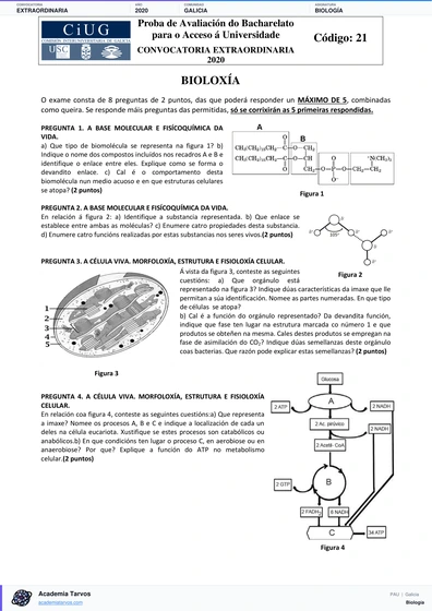 Vista previa de Examen PAU de Biología de Galicia 2020 – Extraordinaria