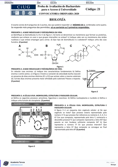 Vista previa de Examen PAU de Biología de Galicia 2020 – Ordinaria