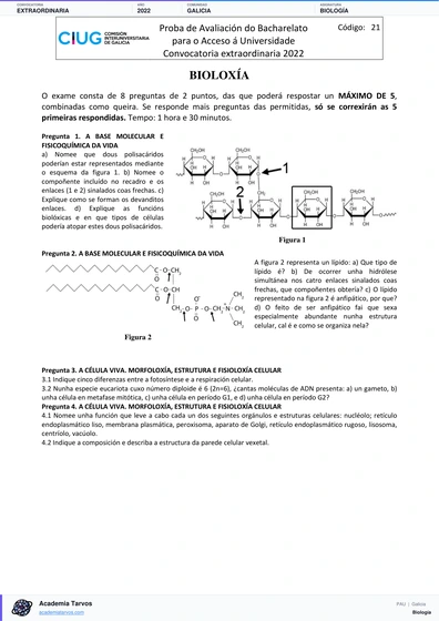 Vista previa de Examen PAU de Biología de Galicia 2022 – Extraordinaria