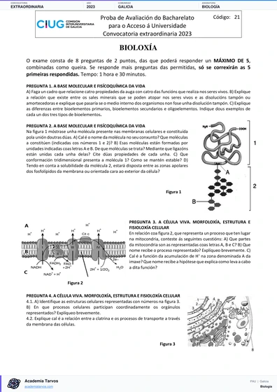 Vista previa de Examen PAU de Biología de Galicia 2023 – Extraordinaria