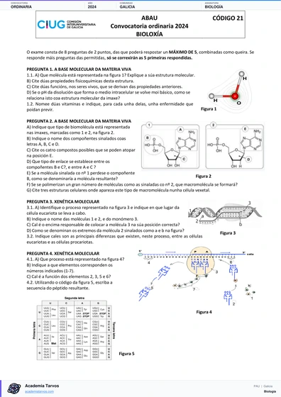 Vista previa de Examen PAU de Biología de Galicia 2024 – Ordinaria