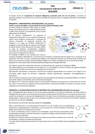 Vista previa de Examen PAU de Biología de Galicia 2025 – Ordinaria