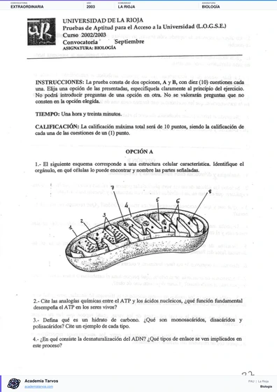 Vista previa de Examen PAU de Biología de La Rioja 2003 – Extraordinaria