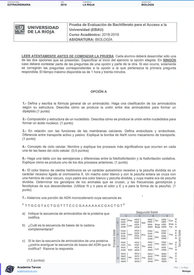 Vista previa de Examen PAU de Biología de La Rioja 2019 – Extraordinaria