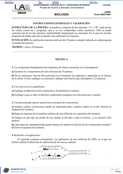 Vista previa de Examen PAU de Biología de Comunidad de Madrid 2004 – Ordinaria
