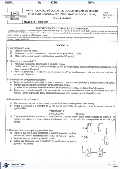 Vista previa de Examen PAU de Biología de Comunidad de Madrid 2005 – Ordinaria
