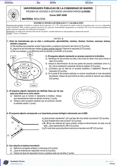 Vista previa de Examen PAU de Biología de Comunidad de Madrid 2008 – Ordinaria