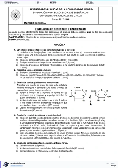 Vista previa de Examen PAU de Biología de Comunidad de Madrid 2018 – Extraordinaria