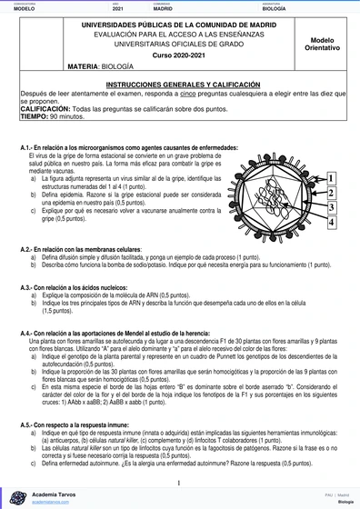 Vista previa de Modelo PAU de Biología de Comunidad de Madrid 2021