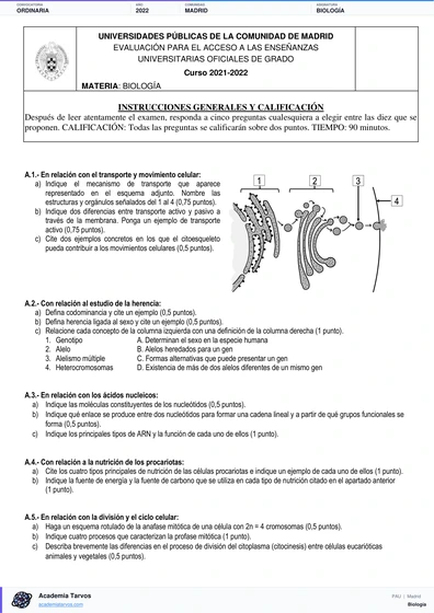 Vista previa de Examen PAU de Biología de Comunidad de Madrid 2022 – Ordinaria