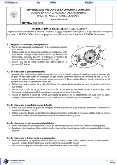 Vista previa de Examen PAU de Biología de Comunidad de Madrid 2023 – Extraordinaria