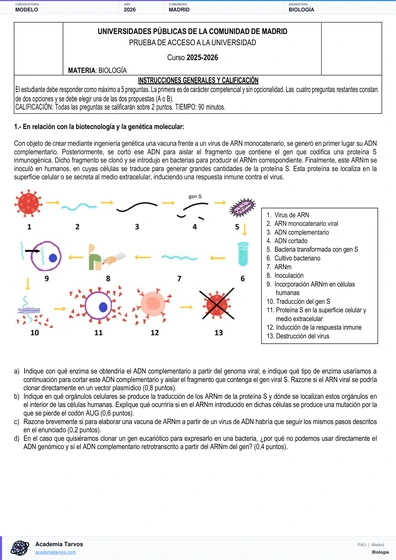 Vista previa de Modelo PAU de Biología de Comunidad de Madrid 2026