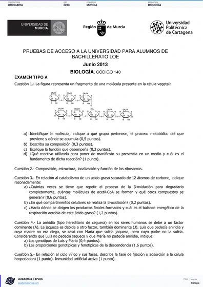 Vista previa de Examen PAU de Biología de Región de Murcia 2013 – Ordinaria