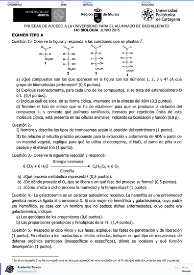Vista previa de Examen PAU de Biología de Región de Murcia 2015 – Ordinaria