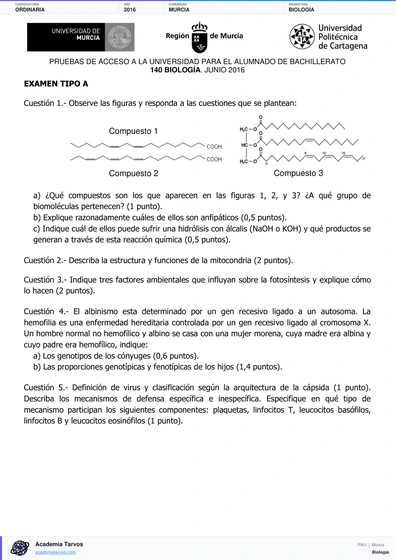 Vista previa de Examen PAU de Biología de Región de Murcia 2016 – Ordinaria