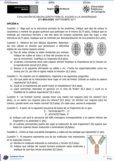 Vista previa de Examen PAU de Biología de Región de Murcia 2017 – Extraordinaria