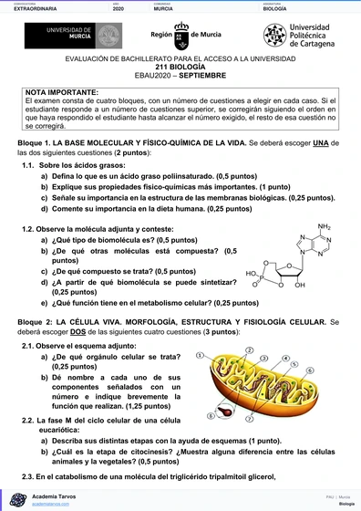 Vista previa de Examen PAU de Biología de Región de Murcia 2020 – Extraordinaria
