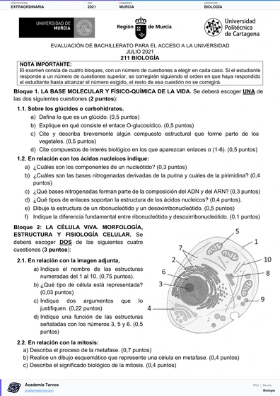Vista previa de Examen PAU de Biología de Región de Murcia 2021 – Extraordinaria