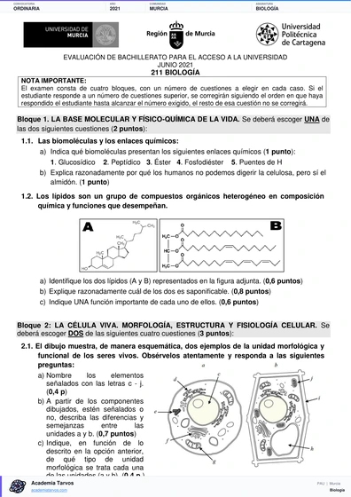 Vista previa de Examen PAU de Biología de Región de Murcia 2021 – Ordinaria