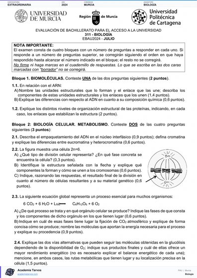 Vista previa de Examen PAU de Biología de Región de Murcia 2024 – Extraordinaria