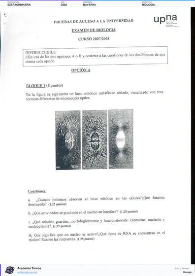 Vista previa de Examen PAU de Biología de Navarra 2008 – Extraordinaria