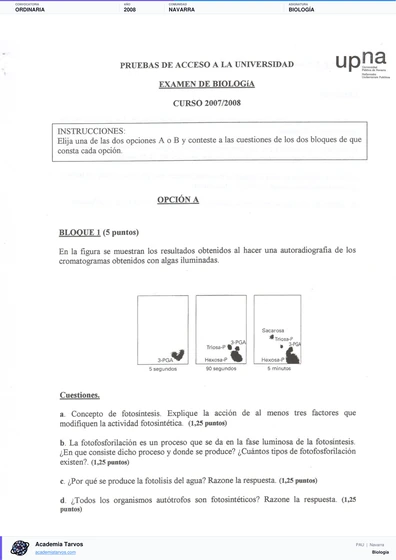 Vista previa de Examen PAU de Biología de Navarra 2008 – Ordinaria