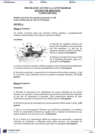 Vista previa de Examen PAU de Biología de Navarra 2016 – Extraordinaria