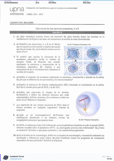 Vista previa de Examen PAU de Biología de Navarra 2019 – Extraordinaria