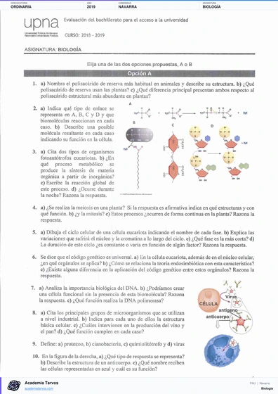 Vista previa de Examen PAU de Biología de Navarra 2019 – Ordinaria