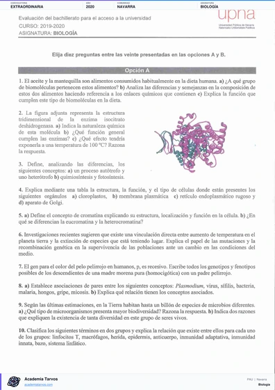 Vista previa de Examen PAU de Biología de Navarra 2020 – Extraordinaria