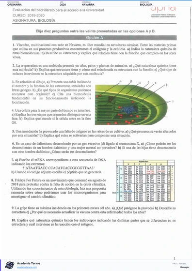 Vista previa de Examen PAU de Biología de Navarra 2020 – Ordinaria