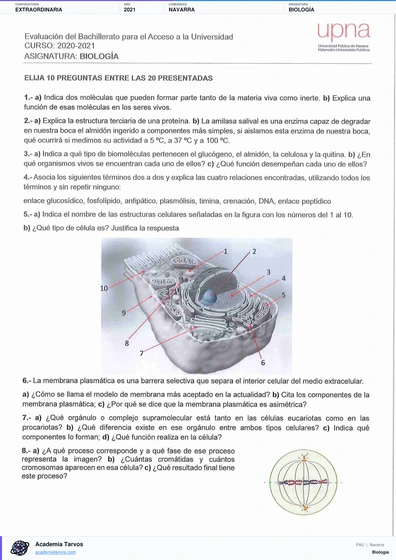 Vista previa de Examen PAU de Biología de Navarra 2021 – Extraordinaria