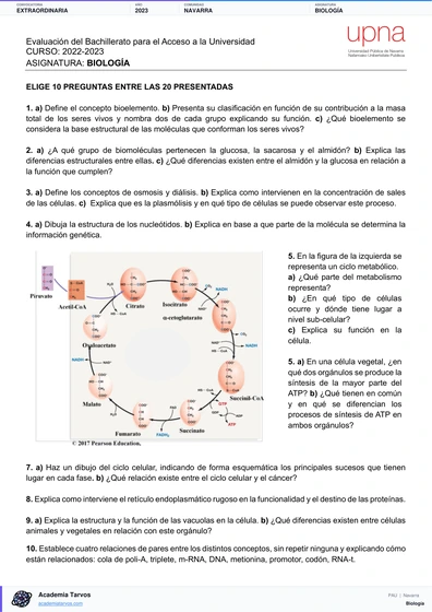 Vista previa de Examen PAU de Biología de Navarra 2023 – Extraordinaria