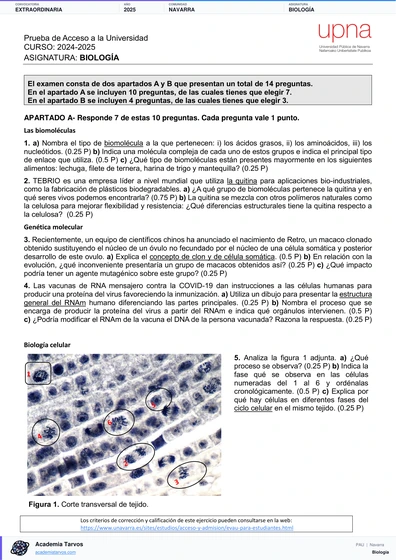 Vista previa de Examen PAU de Biología de Navarra 2025 – Extraordinaria