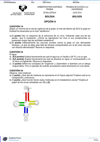 Vista previa de Examen PAU de Biología de País Vasco 2012 – Extraordinaria
