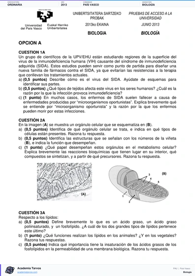 Vista previa de Examen PAU de Biología de País Vasco 2013 – Ordinaria