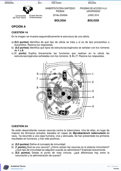 Vista previa de Examen PAU de Biología de País Vasco 2014 – Ordinaria