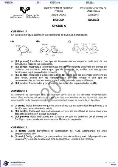 Vista previa de Examen PAU de Biología de País Vasco 2016 – Ordinaria