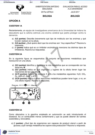 Vista previa de Examen PAU de Biología de País Vasco 2017 – Extraordinaria