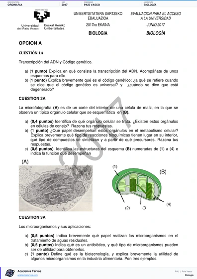 Vista previa de Examen PAU de Biología de País Vasco 2017 – Ordinaria
