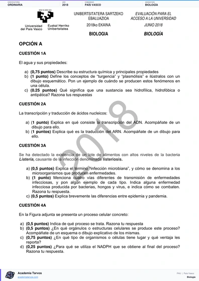 Vista previa de Examen PAU de Biología de País Vasco 2018 – Ordinaria
