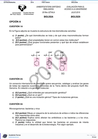 Vista previa de Examen PAU de Biología de País Vasco 2019 – Extraordinaria